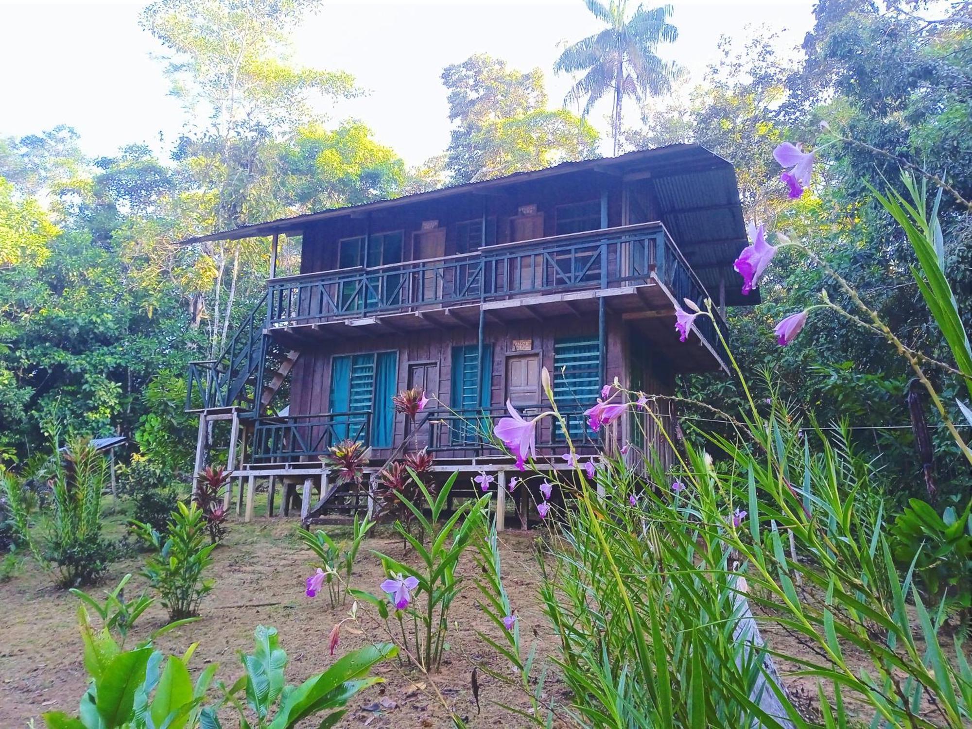 Cabanas Eco Logicas Mu'Ue Loreto Mocagua Exterior photo